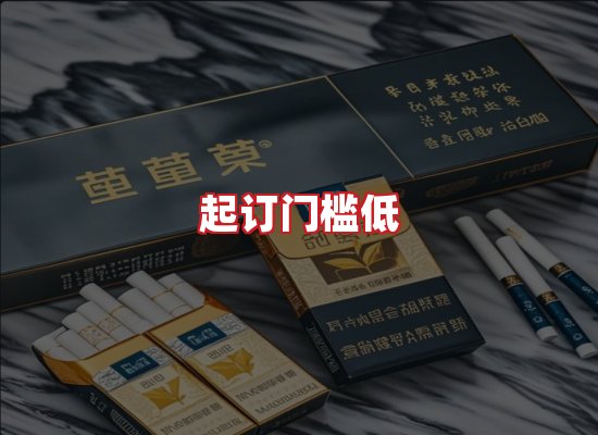 专业团队